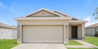217 Hibiscus Street 217 Hibiscus Street Photo Gallery 1