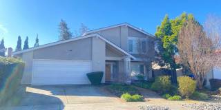 33536 Bardolph Cir 33536 Bardolph Cir Photo Gallery 1