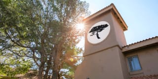 Cinnamon Tree Apartments Cinnamon Tree Apartments Photo Gallery 1
