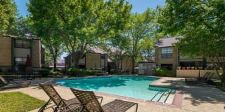 Tiburon Tiburon Photo Gallery 1