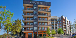 Addison Medical Center Apartments Addison Medical Center Apartments Photo Gallery 1