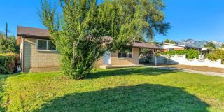 233 Tennyson Avenue 233 Tennyson Avenue Photo Gallery 1