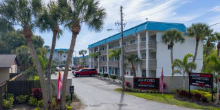 Ashford Bayside Apartment Homes Ashford Bayside Apartment Homes Photo Gallery 1