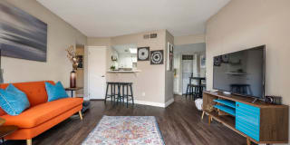 1 BEDROOM APARTMENT FOR RENT IN PHOENIX visual data 3