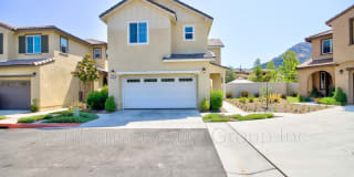 35105 Persano Place 35105 Persano Place Photo Gallery 1