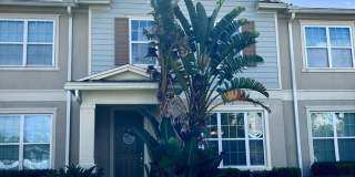 6555 Calamondin Dr 6555 Calamondin Dr Photo Gallery 1