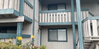 546 Chiechi Ave 546 Chiechi Ave Photo Gallery 1
