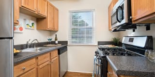 Cambridge Apartments Cambridge Apartments Photo Gallery 1