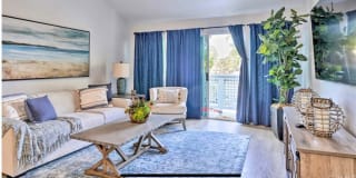 34264 Camino Capistrano #301 34264 Camino Capistrano #301 Photo Gallery 1