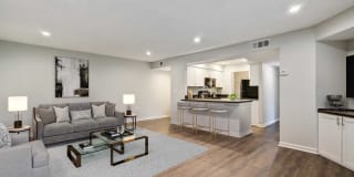 Mezzo of Tampa Palms Mezzo of Tampa Palms Photo Gallery 1