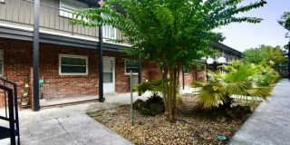 851 MILES AVENUE 851 MILES AVENUE Photo Gallery 1