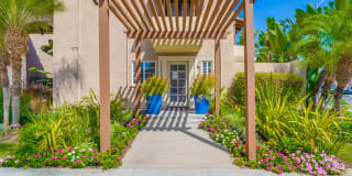 Spring Tree Apartments Spring Tree Apartments Photo Gallery 1