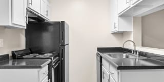 Ashford Apartments Ashford Apartments Photo Gallery 1