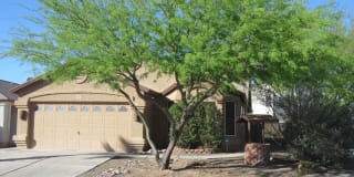 9137 E. Lippia Street 9137 E. Lippia Street Photo Gallery 1