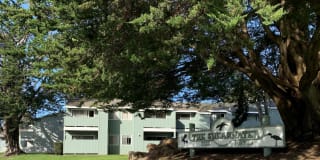 Shearwater Apartments Shearwater Apartments Photo Gallery 1