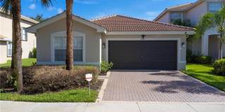 1638 Triangle Palm TER 1638 Triangle Palm TER Photo Gallery 1