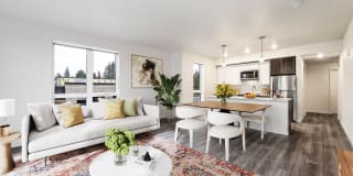 Bloom Bloom Photo Gallery 1