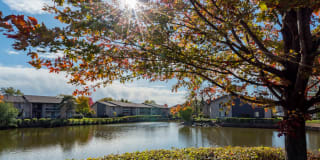 Lakeside Apartments Lakeside Apartments Photo Gallery 1