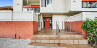 288 Whitmore St Unit 116 288 Whitmore St Unit 116 Photo Gallery 1