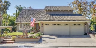 26982 Safiro 26982 Safiro Photo Gallery 1