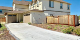 33627 Stallion Street 33627 Stallion Street Photo Gallery 1