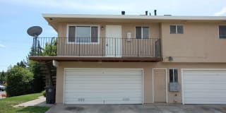 6553 Greenback #4 6553 Greenback #4 Photo Gallery 1