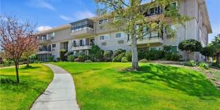 2355 Via Mariposa W 2355 Via Mariposa W Photo Gallery 1