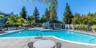 Avana Almaden Avana Almaden Photo Gallery 1