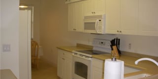 11021 Gulf Reflections DR 11021 Gulf Reflections DR Photo Gallery 1