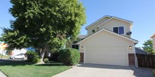 520 Haven Drive 520 Haven Drive Photo Gallery 1