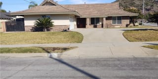 831 Essex Street 831 Essex Street Photo Gallery 1