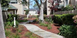 326 Treasure Island Dr. 326 Treasure Island Dr. Photo Gallery 1