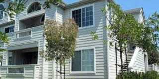 2004 Hastings Shore Ln 2004 Hastings Shore Ln Photo Gallery 1