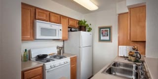 The Sycamores Apartments The Sycamores Apartments Photo Gallery 1