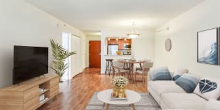 Lenox Park Lenox Park Photo Gallery 1