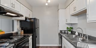 Villages at Spring Hill Villages at Spring Hill Photo Gallery 1