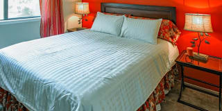 Chambers Creek Chambers Creek Photo Gallery 1