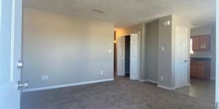 Palm Cove Apartments Palm Cove Apartments Photo Gallery 1