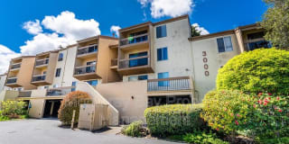 3204 Golden Oaks Ln. 3204 Golden Oaks Ln. Photo Gallery 1