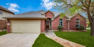 25927 BEAUTYBERRY 25927 BEAUTYBERRY Photo Gallery 1