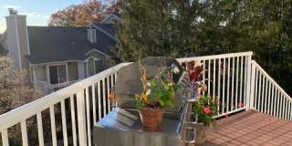 6 Ray Ct 6 Ray Ct Photo Gallery 1