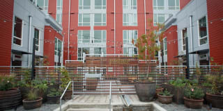 Greenhouse Greenhouse Photo Gallery 1