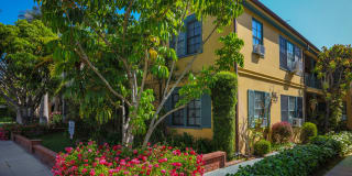 438 South Palm Drive 438 South Palm Drive Photo Gallery 1