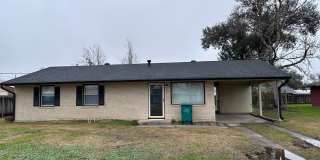 305 Louisiana Ave 305 Louisiana Ave Photo Gallery 1