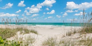 3172 Beach Winds Ct 3172 Beach Winds Ct Photo Gallery 1