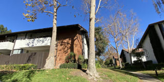 31550 Agoura Road 31550 Agoura Road Photo Gallery 1