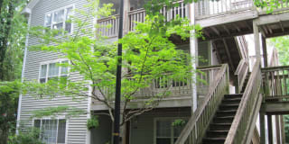 526 N 2nd Street - 101 526 N 2nd Street - 101 Photo Gallery 1