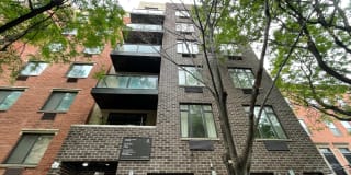 330 East 119th Street 330 East 119th Street Photo Gallery 1