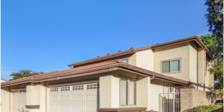 33766 Captains Lane 33766 Captains Lane Photo Gallery 1