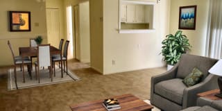 East Bay Apartments East Bay Apartments Photo Gallery 1